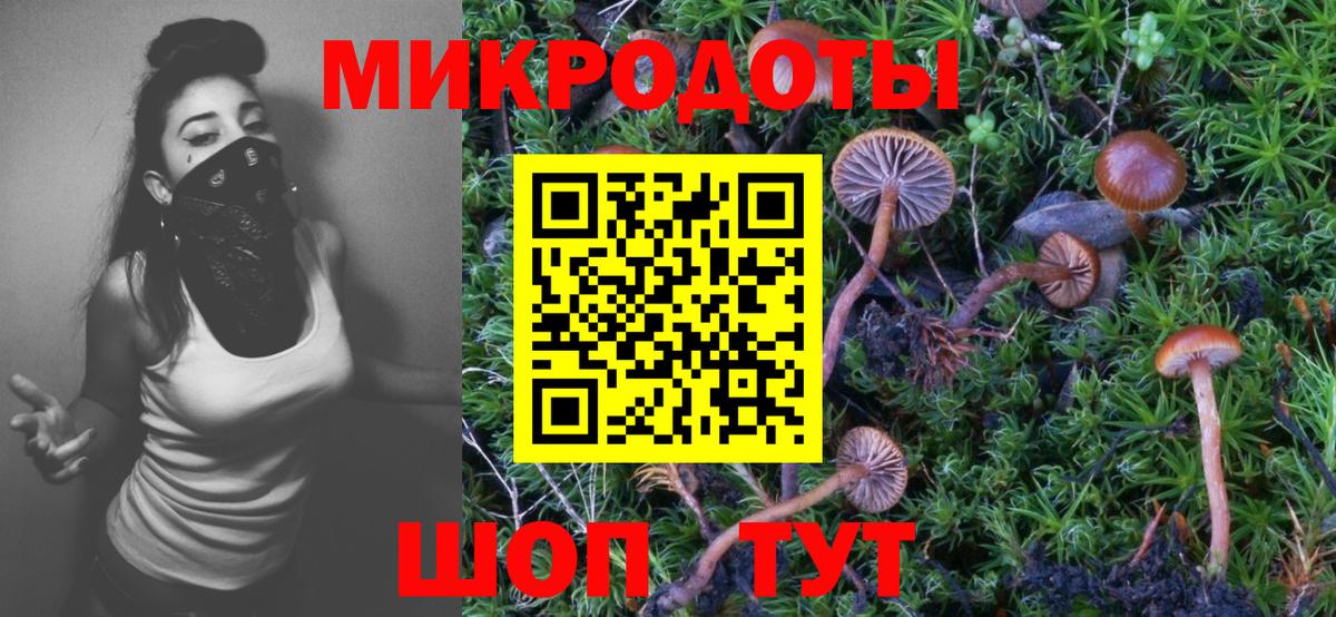 Псилоцибиновые грибы Cubensis Лабинск